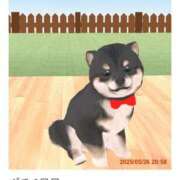 ヒメ日記 2025/05/26 21:26 投稿 ろーらん 川崎ソープ　クリスタル京都南町