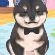 ヒメ日記 2025/08/20 23:57 投稿 ろーらん 川崎ソープ　クリスタル京都南町