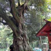 ヒメ日記 2026/02/04 16:09 投稿 らい 巨乳専科パンチラボイン横浜