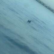 らい 〆 巨乳専科パンチラボイン横浜