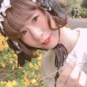 ヒメ日記 2026/04/30 19:00 投稿 いちご サクラムーン