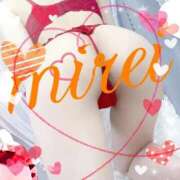 ヒメ日記 2024/12/20 00:09 投稿 菅田 みれい ギン妻パラダイス 谷九店