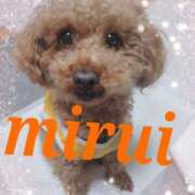 ヒメ日記 2024/12/23 01:15 投稿 菅田 みれい ギン妻パラダイス 谷九店