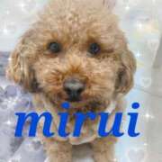 ヒメ日記 2025/01/08 23:40 投稿 菅田 みれい ギン妻パラダイス 谷九店