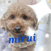 ヒメ日記 2025/01/12 18:17 投稿 菅田 みれい ギン妻パラダイス 谷九店