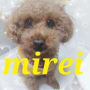 ヒメ日記 2025/03/20 21:48 投稿 菅田 みれい ギン妻パラダイス 谷九店