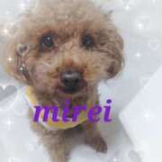 ヒメ日記 2025/05/08 00:33 投稿 菅田 みれい ギン妻パラダイス 谷九店