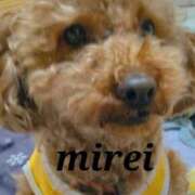 ヒメ日記 2025/05/12 00:21 投稿 菅田 みれい ギン妻パラダイス 谷九店