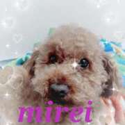 ヒメ日記 2025/06/19 02:21 投稿 菅田 みれい ギン妻パラダイス 谷九店