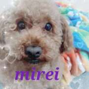 ヒメ日記 2025/06/21 23:49 投稿 菅田 みれい ギン妻パラダイス 谷九店