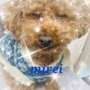 ヒメ日記 2025/06/25 00:14 投稿 菅田 みれい ギン妻パラダイス 谷九店