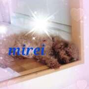 ヒメ日記 2025/08/01 19:48 投稿 菅田 みれい ギン妻パラダイス 谷九店