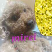 ヒメ日記 2025/09/03 10:16 投稿 菅田 みれい ギン妻パラダイス 谷九店