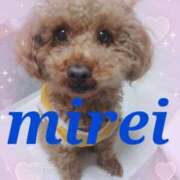 ヒメ日記 2025/10/22 10:14 投稿 菅田 みれい ギン妻パラダイス 谷九店