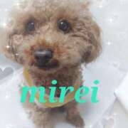 ヒメ日記 2025/12/04 10:10 投稿 菅田 みれい ギン妻パラダイス 谷九店