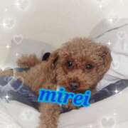 ヒメ日記 2025/12/13 10:22 投稿 菅田 みれい ギン妻パラダイス 谷九店