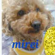 ヒメ日記 2025/12/22 10:53 投稿 菅田 みれい ギン妻パラダイス 谷九店