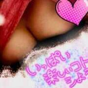 ヒメ日記 2025/04/23 10:18 投稿 さら 人妻パラダイス