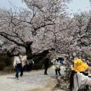 ヒメ日記 2025/04/09 20:07 投稿 つばさ アバンチュール（難波）