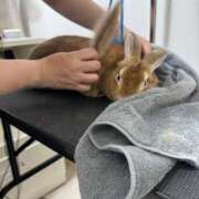 ヒメ日記 2025/06/12 07:08 投稿 つばさ アバンチュール（難波）