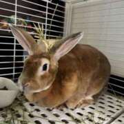 ヒメ日記 2025/07/03 07:27 投稿 つばさ アバンチュール（難波）