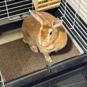 ヒメ日記 2025/07/05 08:49 投稿 つばさ アバンチュール（難波）