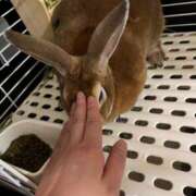 ヒメ日記 2025/08/02 10:12 投稿 つばさ アバンチュール（難波）