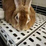 ヒメ日記 2025/08/17 09:22 投稿 つばさ アバンチュール（難波）