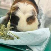 ヒメ日記 2025/09/02 12:50 投稿 つばさ アバンチュール（難波）