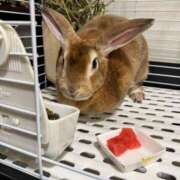 ヒメ日記 2025/09/06 08:03 投稿 つばさ アバンチュール（難波）