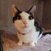 ヒメ日記 2025/09/18 21:14 投稿 つばさ アバンチュール（難波）