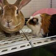 ヒメ日記 2025/10/02 07:50 投稿 つばさ アバンチュール（難波）