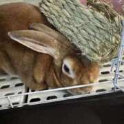 ヒメ日記 2025/10/09 13:11 投稿 つばさ アバンチュール（難波）