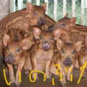 ヒメ日記 2025/10/19 09:15 投稿 つばさ アバンチュール（難波）