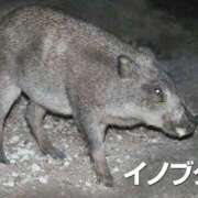 ヒメ日記 2025/10/19 23:14 投稿 つばさ アバンチュール（難波）