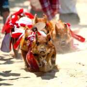 ヒメ日記 2025/10/25 18:45 投稿 つばさ アバンチュール（難波）