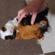 ヒメ日記 2025/11/08 11:33 投稿 つばさ アバンチュール（難波）