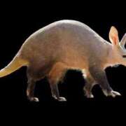 ヒメ日記 2025/11/09 20:38 投稿 つばさ アバンチュール（難波）