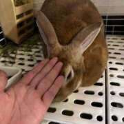 ヒメ日記 2025/11/22 10:09 投稿 つばさ アバンチュール（難波）