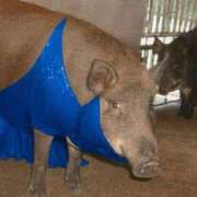 つばさ 日記おさぼり アバンチュール（難波）