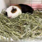 ヒメ日記 2025/12/12 09:43 投稿 つばさ アバンチュール（難波）