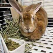 ヒメ日記 2025/12/22 12:40 投稿 つばさ アバンチュール（難波）