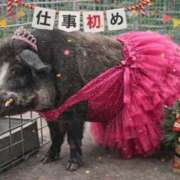 ヒメ日記 2026/01/05 22:20 投稿 つばさ アバンチュール（難波）