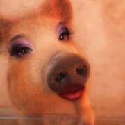 つばさ 猪豚は元気です アバンチュール（難波）