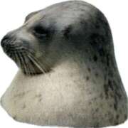 つばさ お詫び アバンチュール（難波）