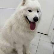 ヒメ日記 2026/03/15 08:15 投稿 つばさ アバンチュール（難波）