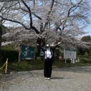 つばさ きまぐれ日記 アバンチュール（難波）