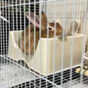ヒメ日記 2026/08/09 13:10 投稿 つばさ アバンチュール（難波）