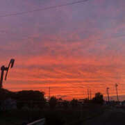 ヒメ日記 2024/12/11 18:29 投稿 芹沢かな TSUBAKI（水戸）