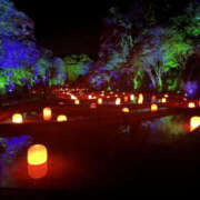 ヒメ日記 2025/02/06 18:07 投稿 芹沢かな TSUBAKI（水戸）